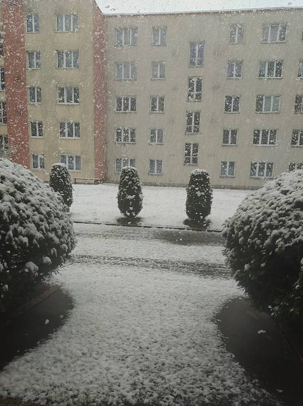 Sníh na Žďársku.