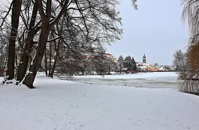 Procházka předvánoční Telčí není jenom náměstí, ale své kouzlo skrývá i zámecký park.