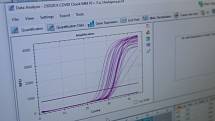 Laboratoře Státního veterinárního ústavu Jihlava, ve kterých testují vzorky z rohlíků s podezřením na Covid-19.