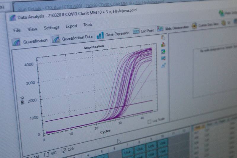 Laboratoře Státního veterinárního ústavu Jihlava, ve kterých testují vzorky z rohlíků s podezřením na Covid-19.