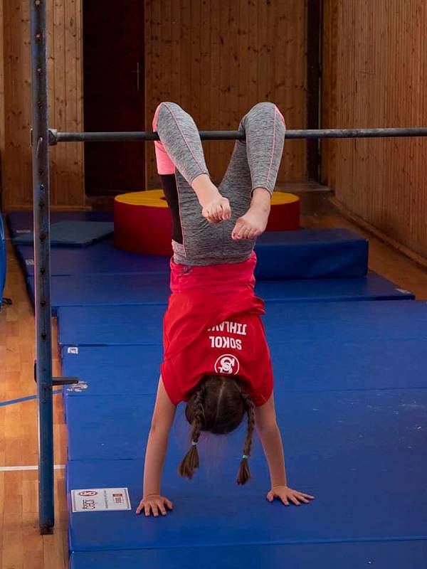 Aktivity příměstského tábora oddílu SGYM jihlavského Sokola. Tábory jsou zaměřené na sport a pohyb.