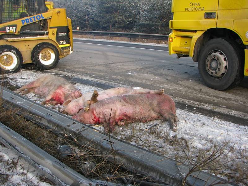 Odklízení nehody dvou kamionů na 118.kilometru dálnice ve směru na Brno