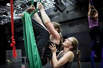 Eliška Brtnická má vztah k akrobatickému tanci a gymnastice už od mala, kdy navštěvovala různé kroužky. Poté, co měla s příměstskými tábory v Praze dobré zkušenosti, rozhodla se pro uskutečnění letního cirkusu v Jihlavě.