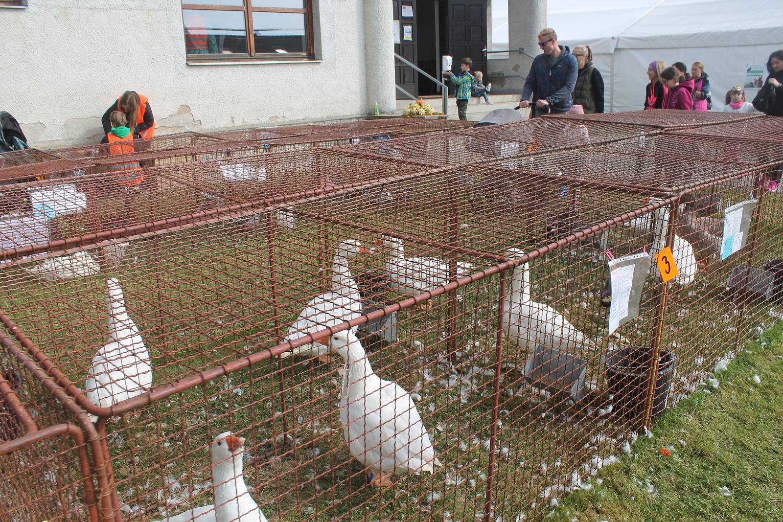 Krajská chovatelská výstava v Bohdalově: tři tisíce zvířat v centru  pozornosti - Třebíčský deník