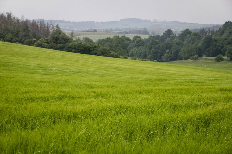 Krajina na Vysočině.