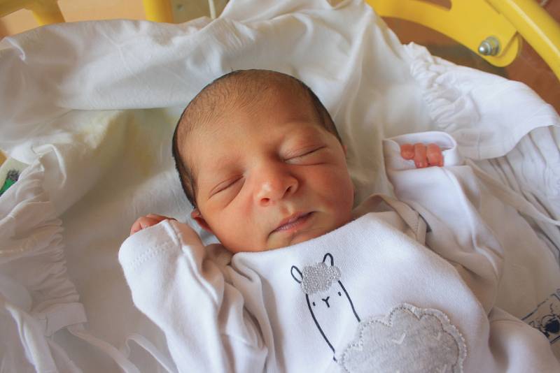 Jeremy Jay Sivák, Telč, 10. července 2019, 46 cm, 2710 g