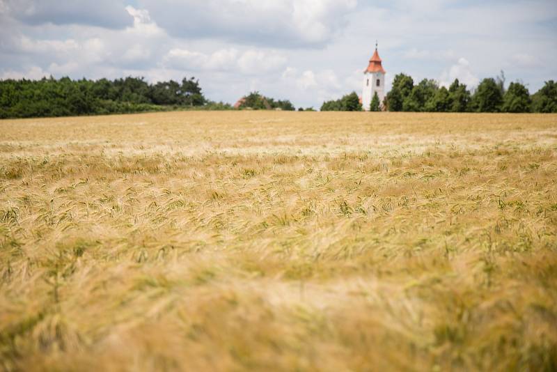 Krajina na Vysočině.