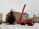 Bez ozdob. Včera v dopoledních hodinách pracovníci SML postupně odřezávali větve z desetimetrového vánočního stromu na jihlavském Masarykově náměstí.