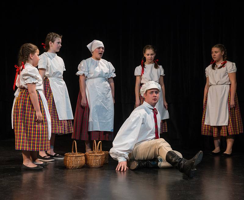 Postupová přehlídka dětských folklórních souborů z kraje Vysočina.