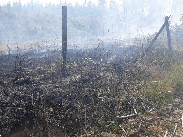 Požáry na Vysočině: hořel les u Vysoké na Havlíčkobrodsku