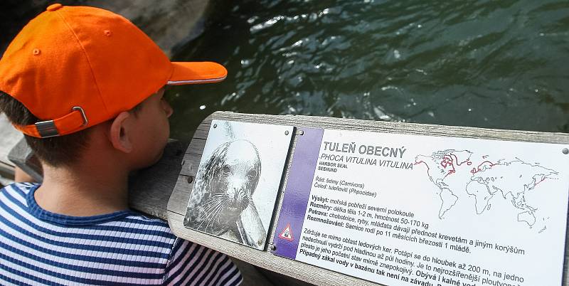 ZOO Jihlava i letos po celé léto pořádá příměstské tábory, ve kterých se děti seznámí se s životem zvířat v jihlavské zoo, dozví se řadu zajímavostí o rozmanitosti živočišné říše i její ochraně.