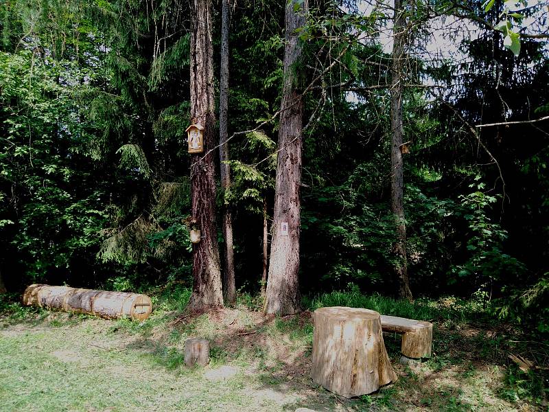 Výlet k loveckému zámečku Aleje nedaleko Stonařova vede z několika obcí. Ze Stonařova čapí stezkou.