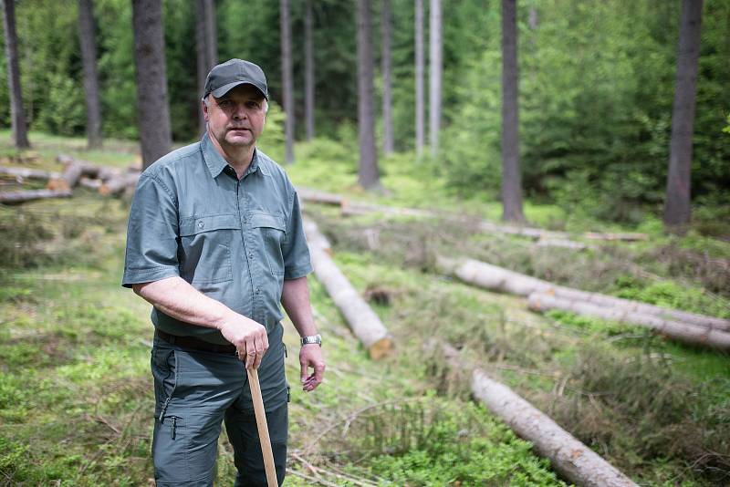 Radek Koudela vedoucí lesní výroby a obchodu se dřívím akciové společnosti Kinský Žďár.