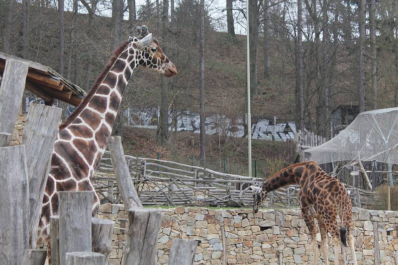 Jihlavská zoologická zahrada.