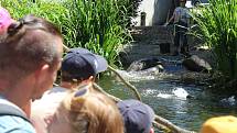 Jihlavská zoo je nejvíce navštěvovaným turistickým cílem Vysočiny. Divácky atraktivní jsou zejména komentovaná krmení zvířat.