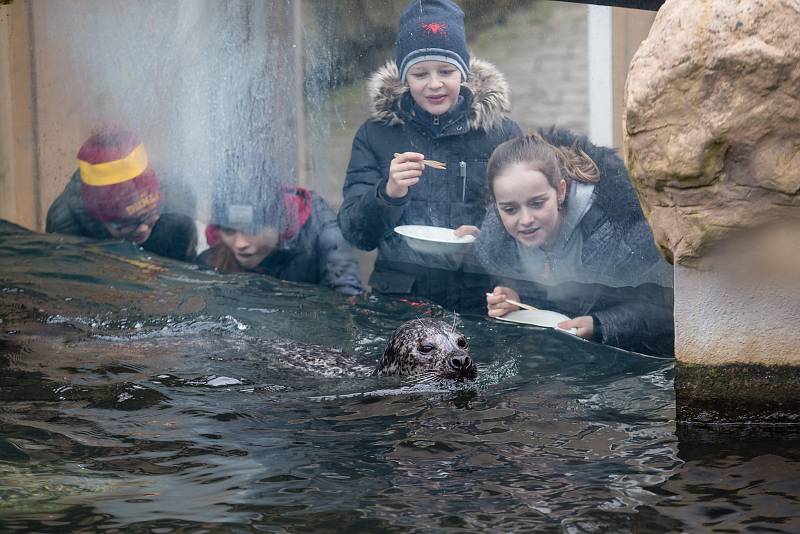 ZOO Jihlava, ilustrační foto