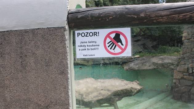 U tuleňů v jihlavské zoologické zahradě se po incidentech objevily cedulky s upozorněním, že zvířata koušou.