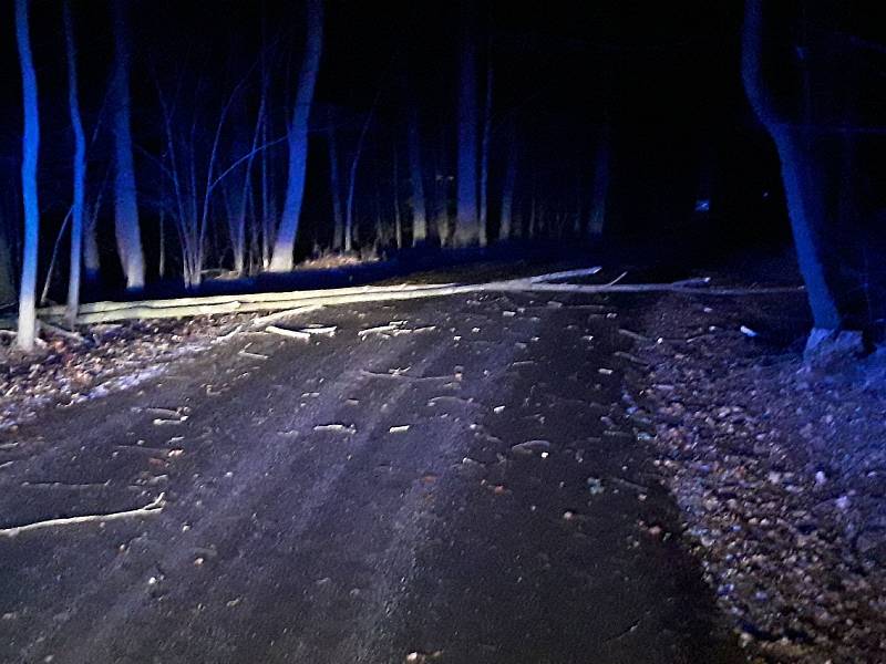 Náročnou noc za sebou mají vysočinští hasiči. Jen od půlnoci do sedmi hodin ráno v sobotu 5. prosince zasahovali u desítek spadlých stromů.