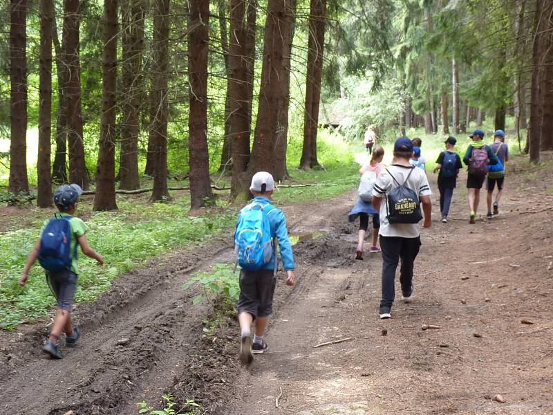 Celodenní výlet po turistických značkách, i to je tradiční náplň letních táborů pro děti.