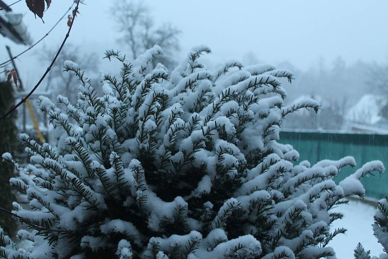 První sníh v Lukách nad Jihlavou.