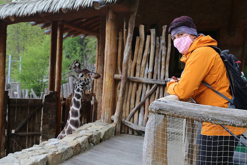 Zoo Jihlava loni v květnu.