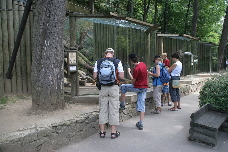 Fotografie z minulosti. Tak si zoo dodnes někteří návštěvníci pamatují.