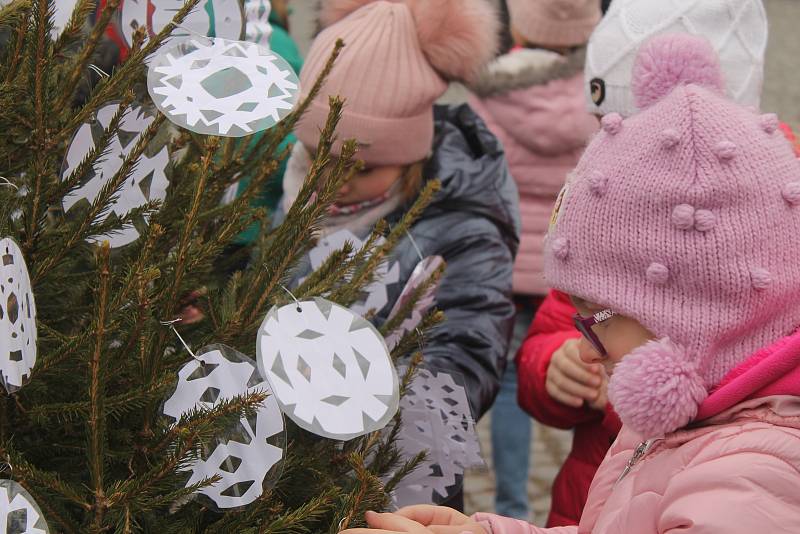 Náměstí v Brtnici zdobí vánoční stromky. Děti na ně navěsily ozdobičky, které samy vyrobily.