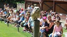 Jihlavská zoo je nejvíce navštěvovaným turistickým cílem Vysočiny. Divácky atraktivní jsou zejména komentovaná krmení zvířat.