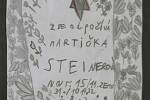 Historie Židů v Jihlavě v datech, dokumenty a další zajímavé listiny jsou k vidění v obřadní síni Židovského hřbitova v Jihlavě, kde začala výstava s názvem Šlépějemi staletí.