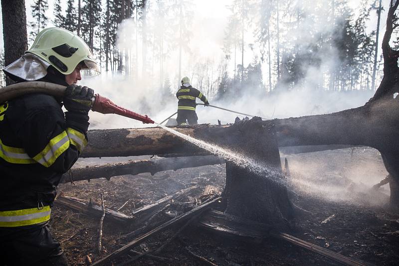 Požár lesa u obce Rybné na Jihlavsku.
