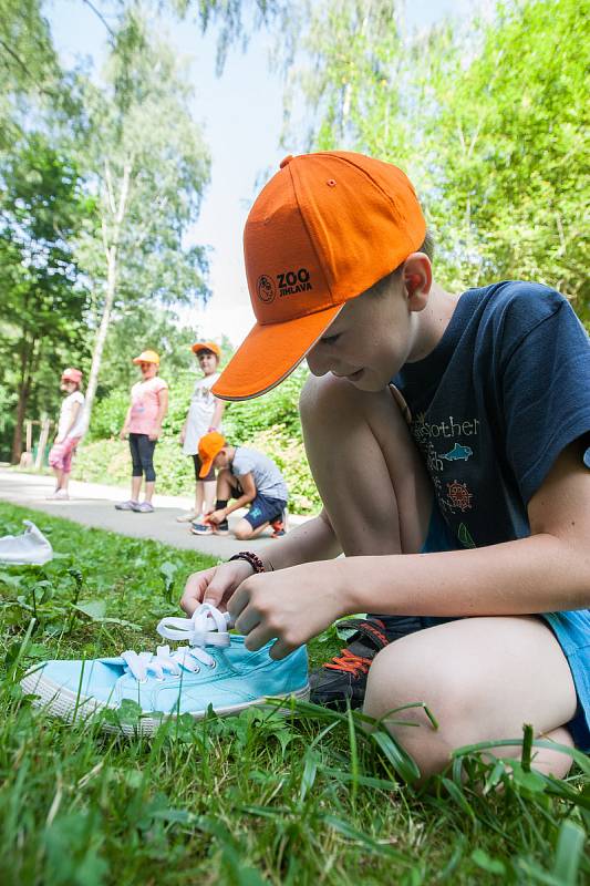 ZOO Jihlava i letos po celé léto pořádá příměstské tábory, ve kterých se děti seznámí se s životem zvířat v jihlavské zoo, dozví se řadu zajímavostí o rozmanitosti živočišné říše i její ochraně.