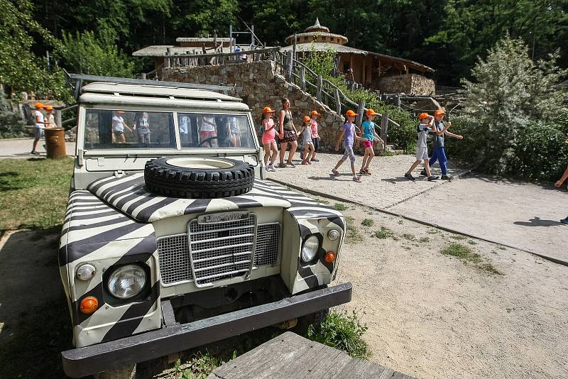 ZOO Jihlava i letos po celé léto pořádá příměstské tábory, ve kterých se děti seznámí se s životem zvířat v jihlavské zoo, dozví se řadu zajímavostí o rozmanitosti živočišné říše i její ochraně.