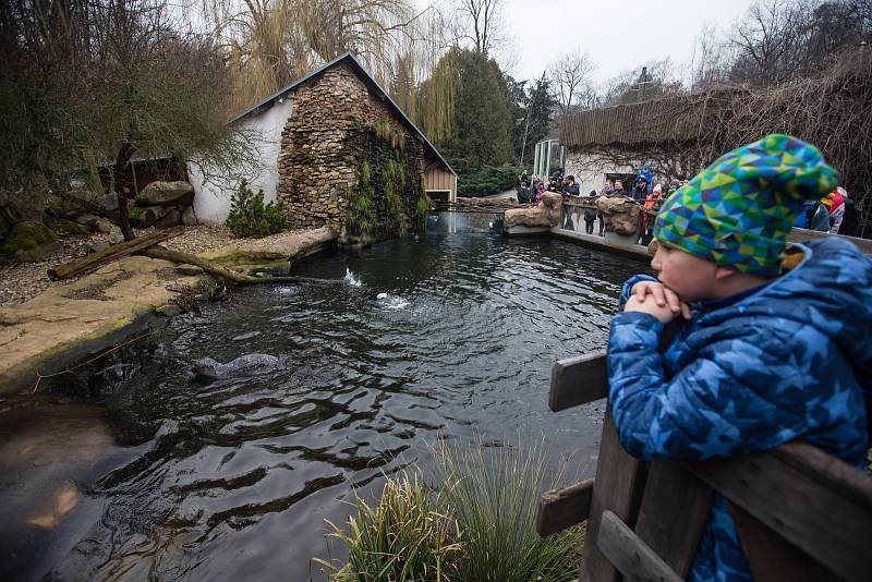 ZOO Jihlava, ilustrační foto