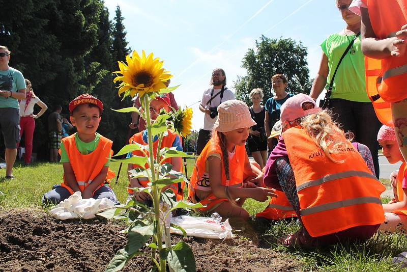 V úterý 6. června vznikl na Hradební ulici nový záhon slunečnic. Na podporu lidí s roztroušenou sklerózou. Slunečnici na podporu zasadila také redaktorka Jihlavského deníku.