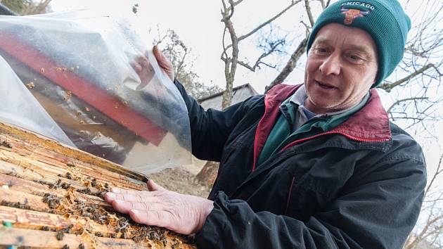 Jaroslav Sedlák z Havlíčkovy Borové se stará o tři desítky včelstev; včera jej fotograf zastihl při kontrole úlů, jejíž součástí je i zkoumání jejich teploty.  Zimu přečkaly včely v solidní kondici a začaly vylétávat.