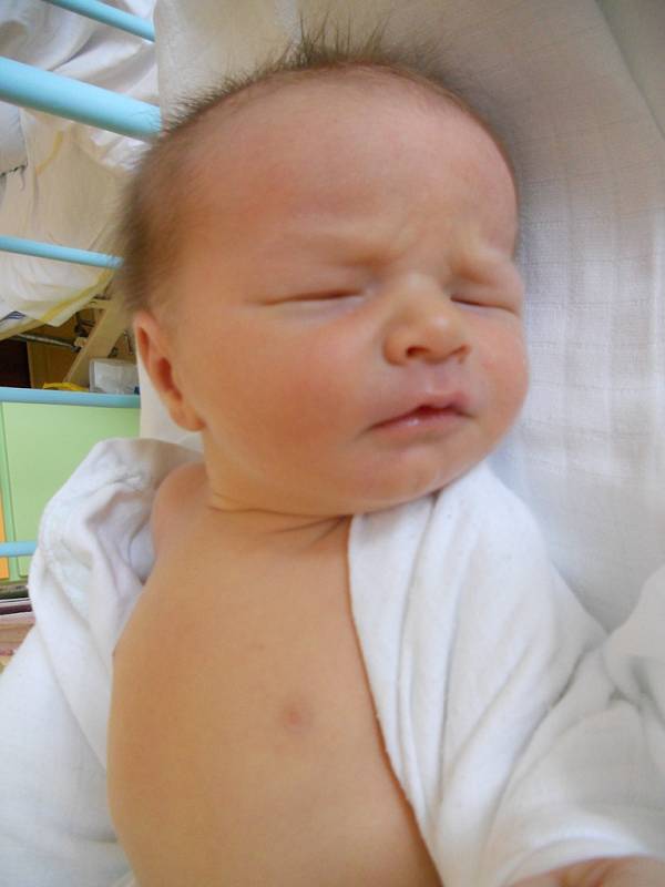 Daniel Hanko, 18. 3. 2013, 3 765 g, 51 cm, Jihlava