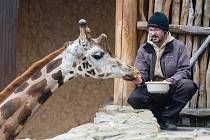 Komentované krmení žiraf si budou moci užít příchozí v sobotu v Zoo Jihlava. Začíná v jedenáct hodin dopoledne.