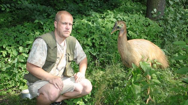 Jan Vašák s jedním z nových obyvatel zoo, asi rok starým kasuárem přilbovým, který je v Jihlavě od loňských Vánoc. Přijel z izraelské zoo Gangaroo. Jeho domovinou je severní Austrálie a Nová Guinea.