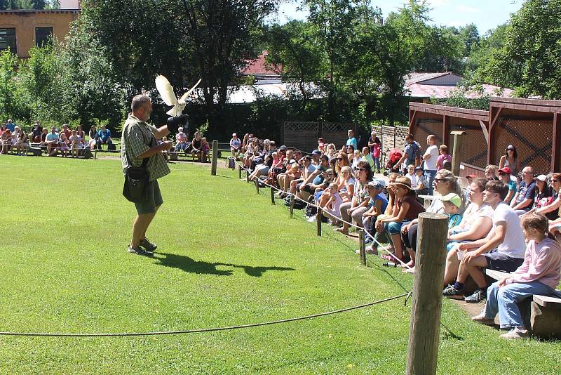 Jihlavská zoo je nejvíce navštěvovaným turistickým cílem Vysočiny. Divácky atraktivní jsou zejména komentovaná krmení zvířat.