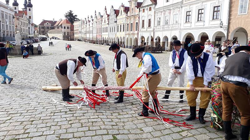 Vzrostlá májka z telčského náměstí šla v neděli 30. května k zemi. Za vydatné asistence folklorního souboru Podjavořičan.