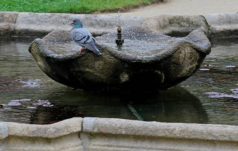 Pohled na zámek Telč, který patří v Česku mezi ty nejpohádkovější.