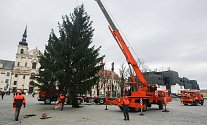 Instalace Vánočního stromu na Masarykově náměstí v Jihlavě.
