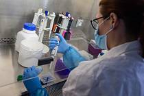 Laboratoře Státního veterinárního ústavu Jihlava, ve kterých testují vzorky z rohlíků s podezřením na Covid-19.