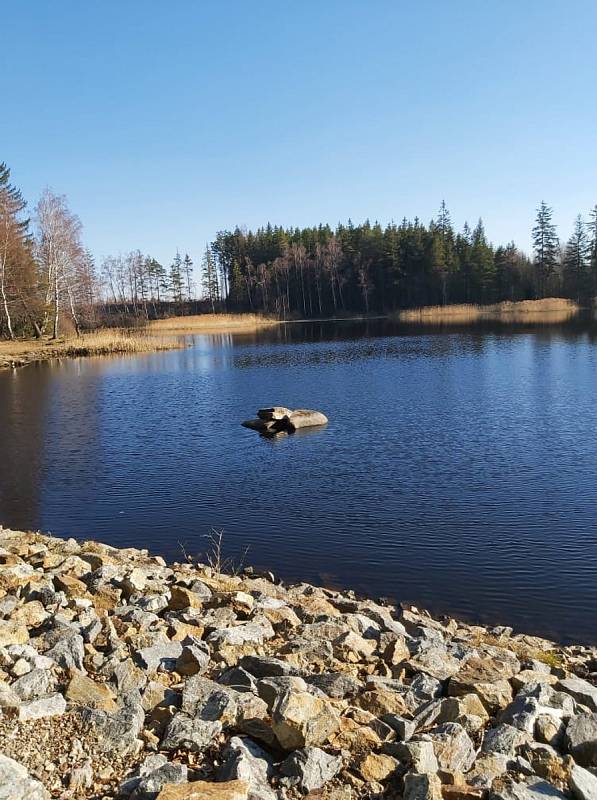 Okolí Velkého Pařezitého rybníka nabízí pestré vyžití.