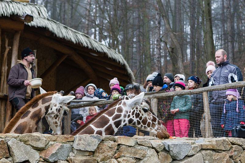 ZOO Jihlava, ilustrační foto