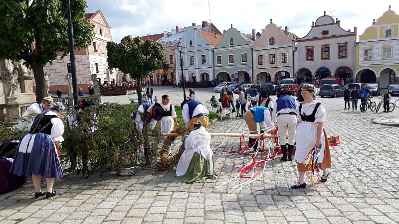 Vzrostlá májka z telčského náměstí šla v neděli 30. května k zemi. Za vydatné asistence folklorního souboru Podjavořičan.