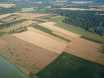 Nové kruhy v obilí u Vyskytné nad Jihlavou