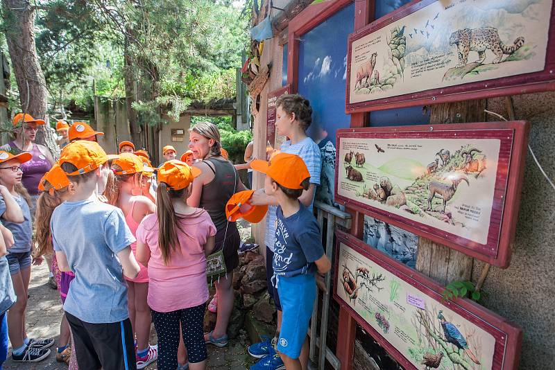 ZOO Jihlava i letos po celé léto pořádá příměstské tábory, ve kterých se děti seznámí se s životem zvířat v jihlavské zoo, dozví se řadu zajímavostí o rozmanitosti živočišné říše i její ochraně.