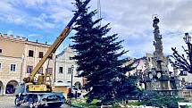 V Telči už strom čeká na neděli, kdy se slavnostně rozsvítí. Poprvé v historii města budou mít lidé možnost dát si během této akce něco dobrého.