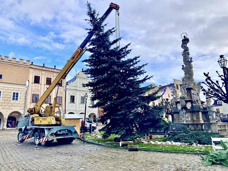 V Telči už strom čeká na neděli, kdy se slavnostně rozsvítí. Poprvé v historii města budou mít lidé možnost dát si během této akce něco dobrého.